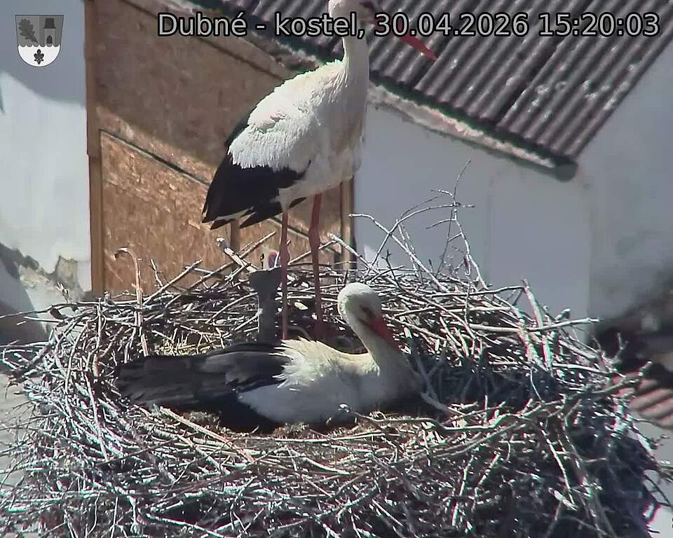 Capi_Dubne_20260430_152003.jpg (1350&nbsp;x&nbsp;1080)