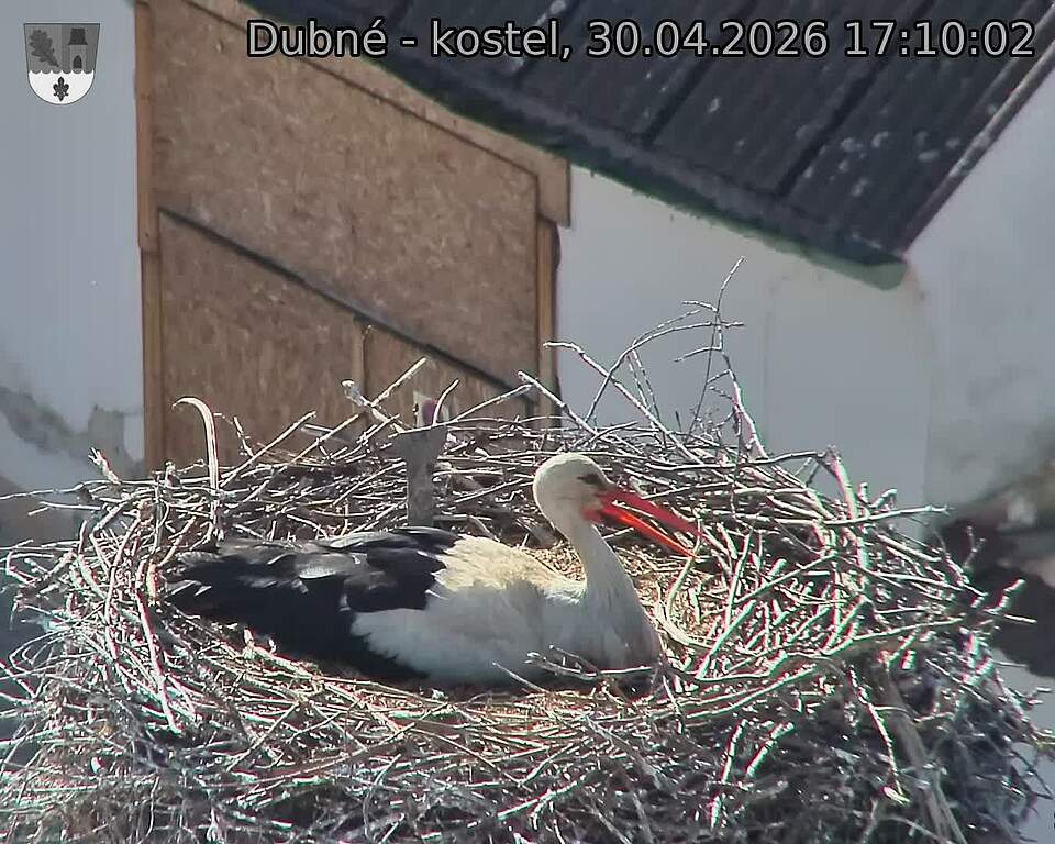 Capi_Dubne_20260430_171002.jpg (1350&nbsp;x&nbsp;1080)