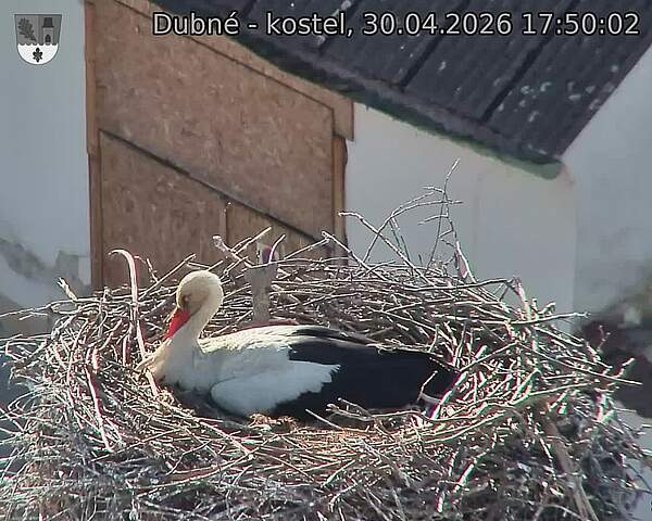 Capi_Dubne_20260430_175002.jpg (1350&nbsp;x&nbsp;1080)