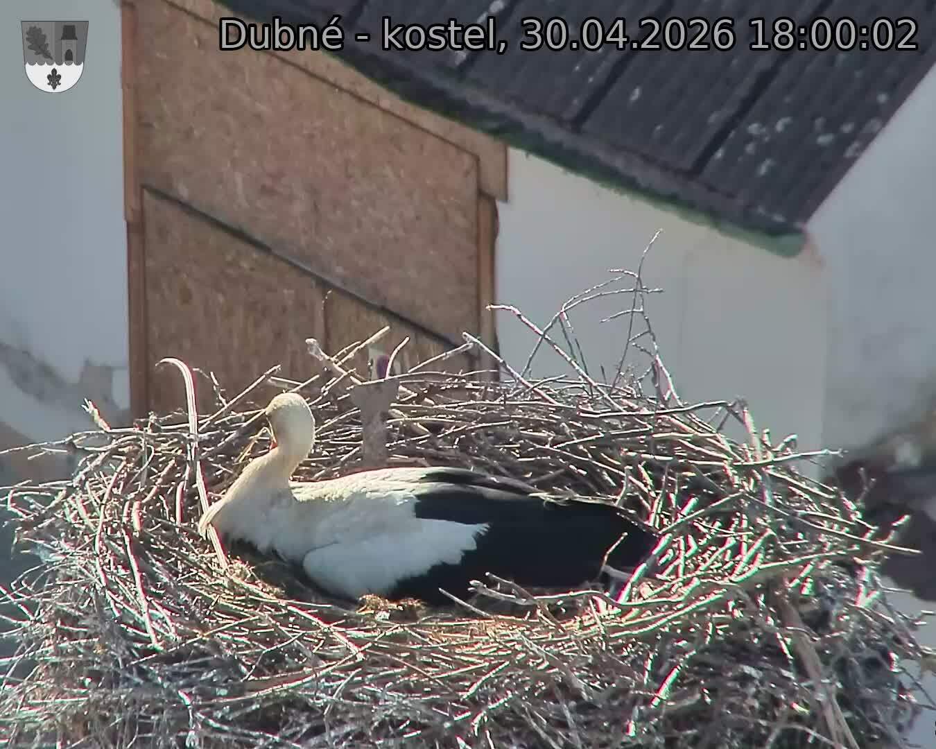 Capi_Dubne_20260430_180002.jpg (1350&nbsp;x&nbsp;1080)