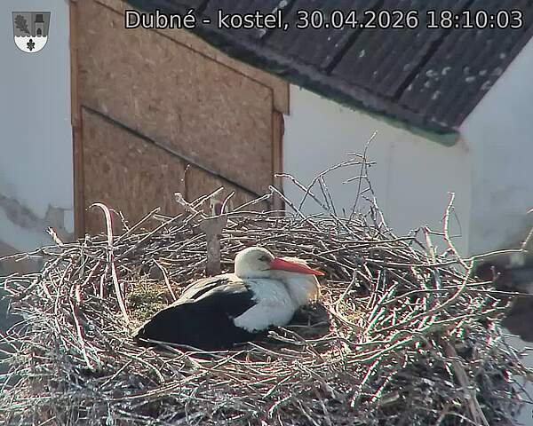 Capi_Dubne_20260430_181003.jpg (1350&nbsp;x&nbsp;1080)