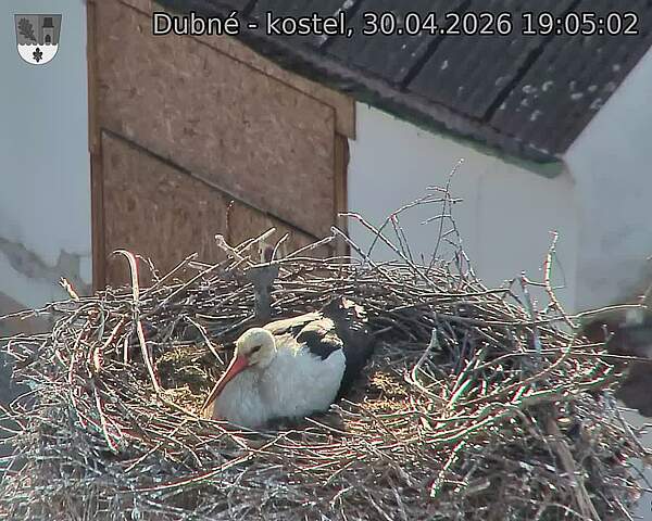 Capi_Dubne_20260430_190502.jpg (1350&nbsp;x&nbsp;1080)