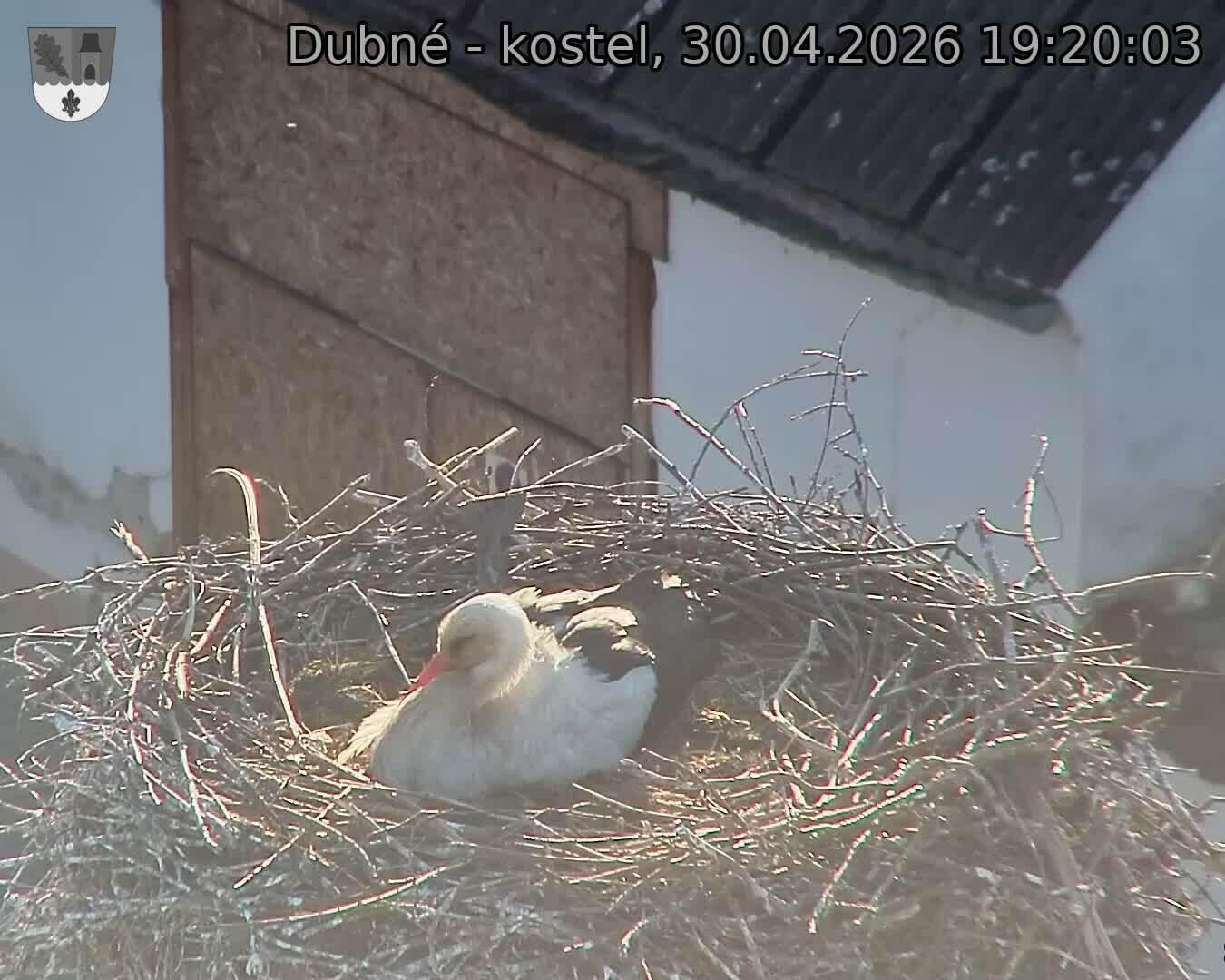 Capi_Dubne_20260430_192003.jpg (1350&nbsp;x&nbsp;1080)