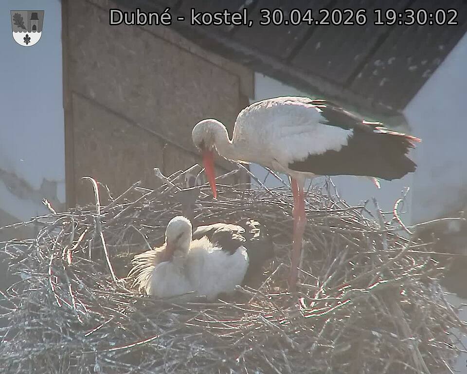 Capi_Dubne_20260430_193002.jpg (1350&nbsp;x&nbsp;1080)