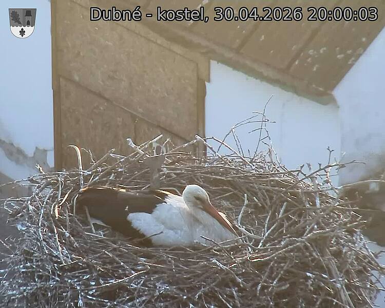 Capi_Dubne_20260430_200003.jpg (1350&nbsp;x&nbsp;1080)