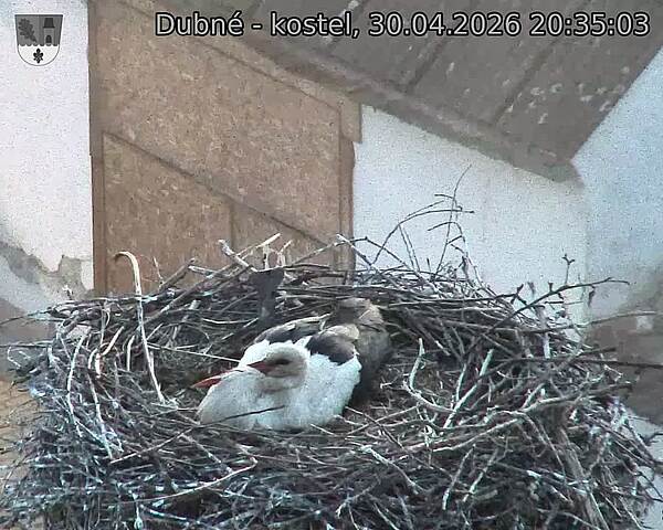 Capi_Dubne_20260430_203503.jpg (1350&nbsp;x&nbsp;1080)
