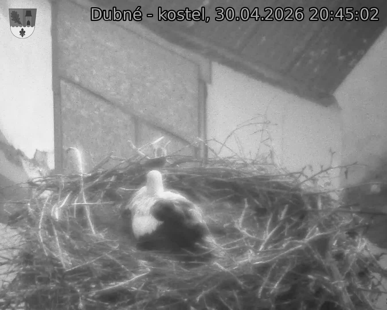 Capi_Dubne_20260430_204502.jpg (1350&nbsp;x&nbsp;1080)