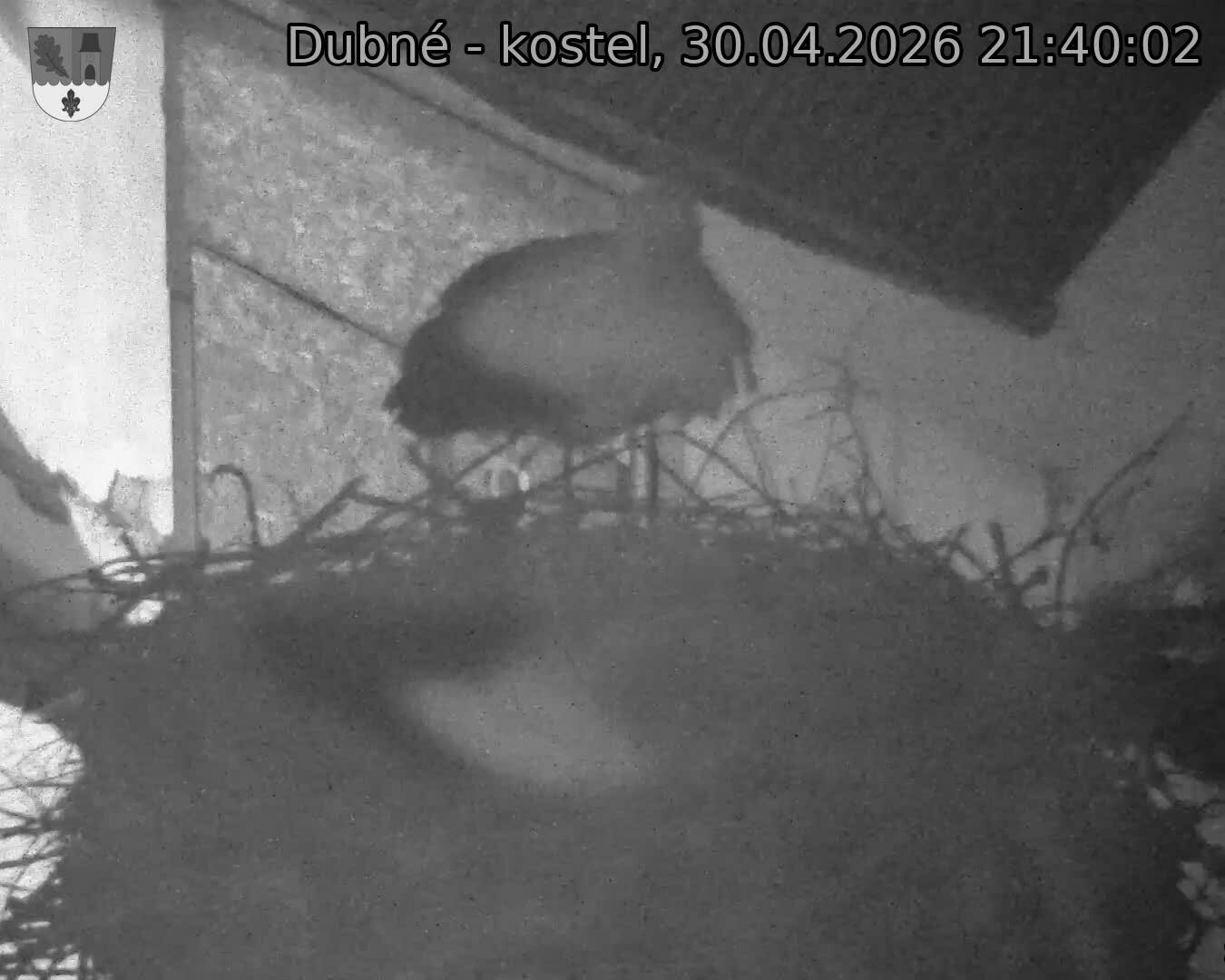 Capi_Dubne_20260430_214002.jpg (1350&nbsp;x&nbsp;1080)