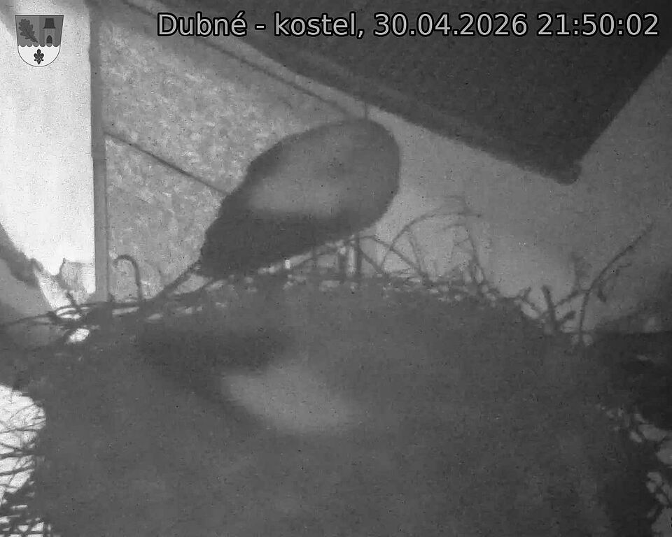 Capi_Dubne_20260430_215003.jpg (1350&nbsp;x&nbsp;1080)