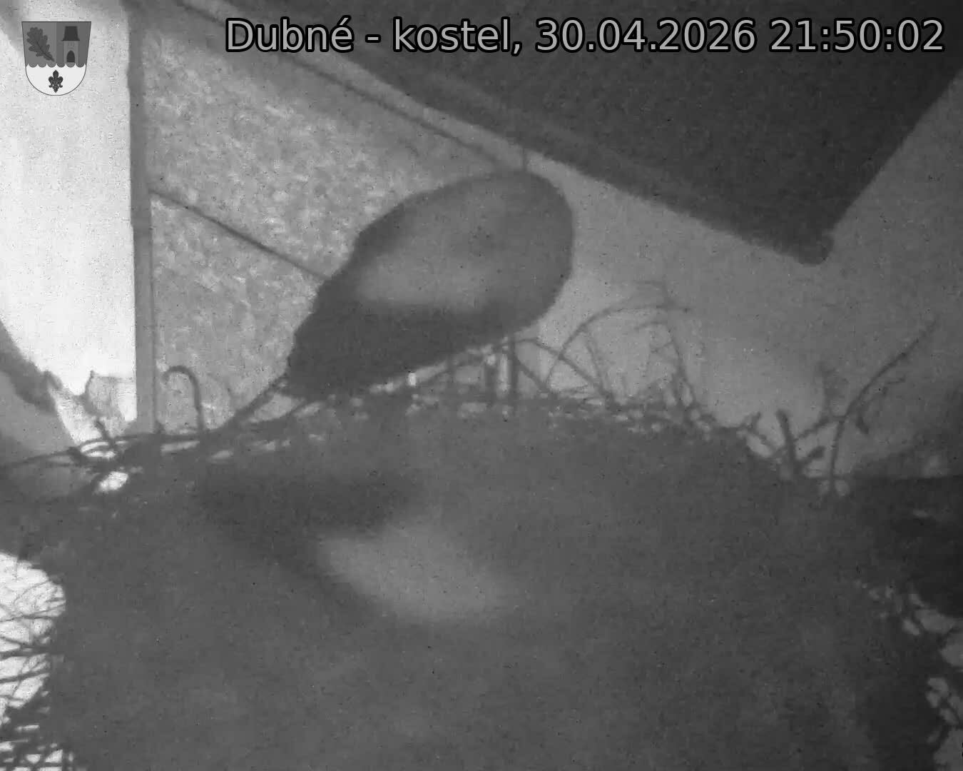 Capi_Dubne_20260430_215003.jpg (1350&nbsp;x&nbsp;1080)