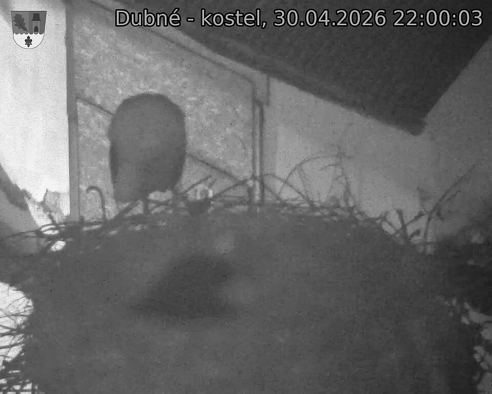 Capi_Dubne_20260430_220003.jpg (1350&nbsp;x&nbsp;1080)