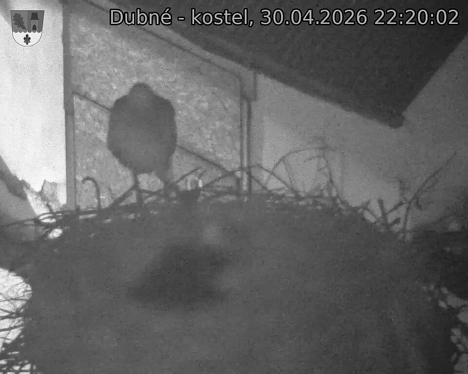 Capi_Dubne_20260430_222002.jpg (1350&nbsp;x&nbsp;1080)