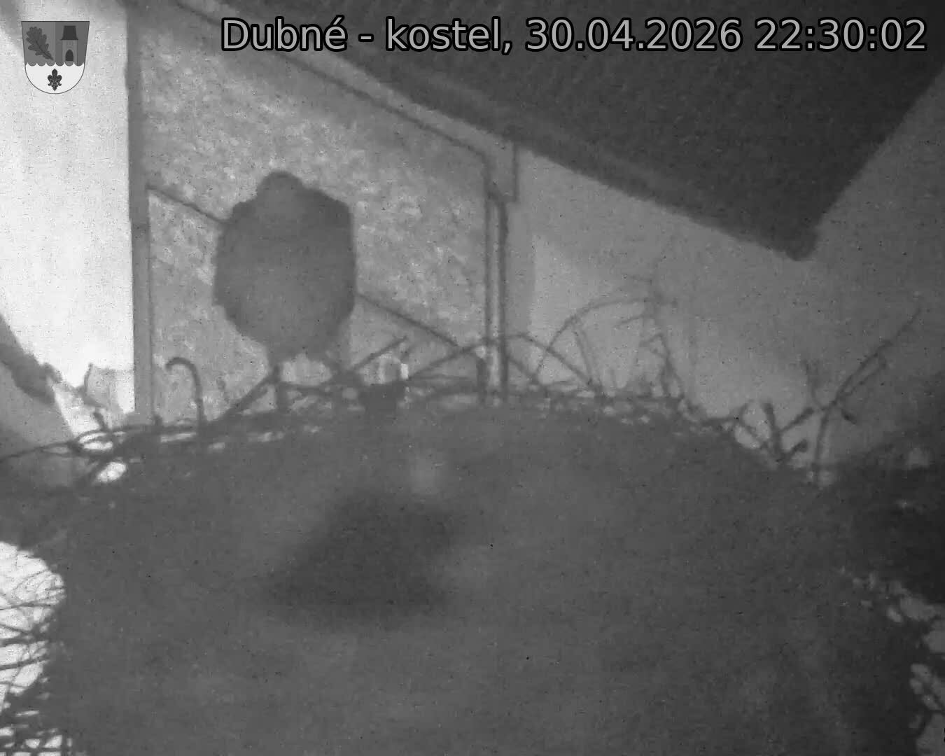 Capi_Dubne_20260430_223002.jpg (1350&nbsp;x&nbsp;1080)