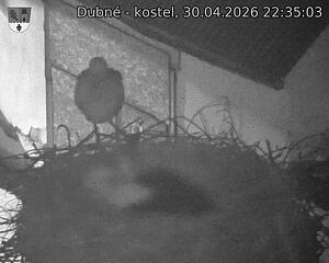 Capi_Dubne_20260430_223503.jpg (1350&nbsp;x&nbsp;1080)