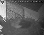 Capi_Dubne_20260501_000502.jpg