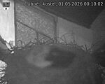 Capi_Dubne_20260501_001002.jpg