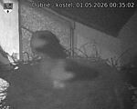 Capi_Dubne_20260501_003502.jpg