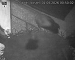 Capi_Dubne_20260501_005002.jpg