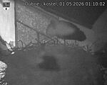 Capi_Dubne_20260501_011002.jpg