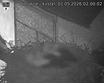 Capi_Dubne_20260501_020002.jpg