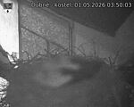 Capi_Dubne_20260501_035003.jpg