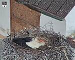 Capi_Dubne_20260501_081504.jpg