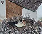 Capi_Dubne_20260501_083003.jpg