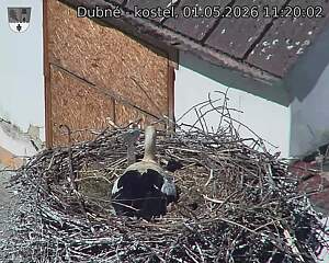preload