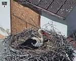 Capi_Dubne_20260501_120503.jpg