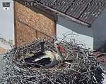 Capi_Dubne_20260501_132002.jpg