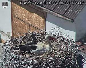 preload