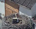 Capi_Dubne_20260501_145002.jpg