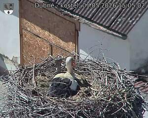 preload