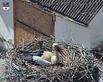 Capi_Dubne_20260501_154002.jpg