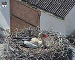 Capi_Dubne_20260501_155502.jpg