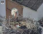Capi_Dubne_20260501_162503.jpg
