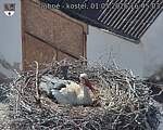 Capi_Dubne_20260501_164503.jpg
