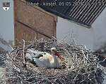 Capi_Dubne_20260501_165003.jpg