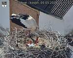 Capi_Dubne_20260501_165502.jpg