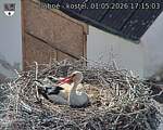Capi_Dubne_20260501_171503.jpg