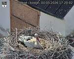 Capi_Dubne_20260501_172002.jpg