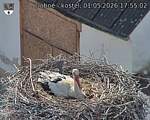 Capi_Dubne_20260501_175502.jpg