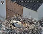 Capi_Dubne_20260501_180502.jpg