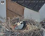 Capi_Dubne_20260501_181004.jpg
