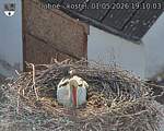 Capi_Dubne_20260501_191003.jpg