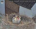 Capi_Dubne_20260501_191504.jpg