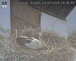 Capi_Dubne_20260501_193002.jpg