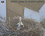 Capi_Dubne_20260501_195502.jpg