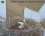 Capi_Dubne_20260501_200003.jpg