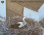 Capi_Dubne_20260501_200502.jpg